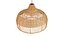 New wicker round tulip skirt rattan light