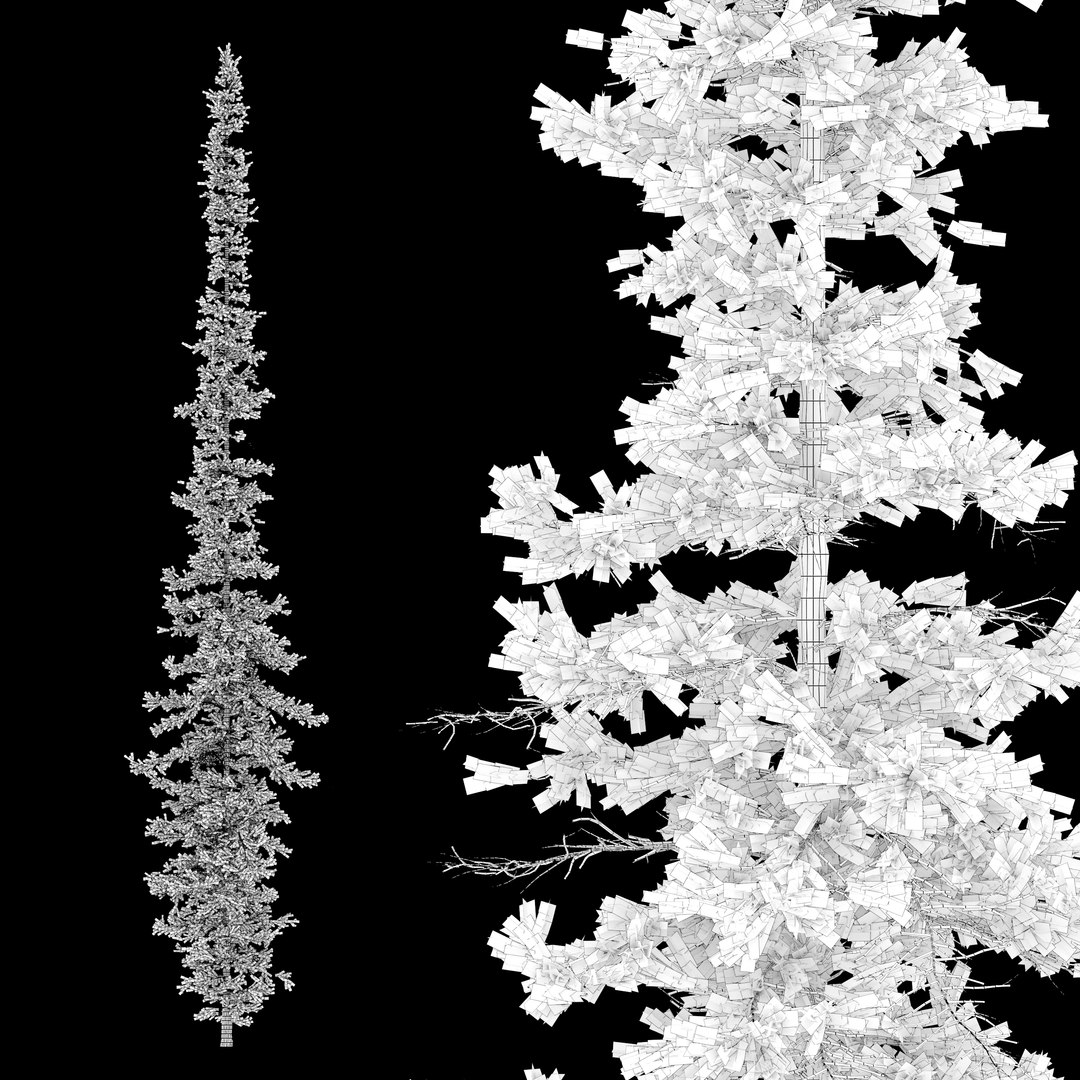 3D model Fir tree 04 - TurboSquid 1958786