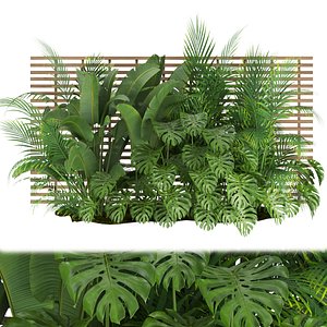 Collection plant vol 335 - monstera - banana - leaf - outdoor -  blender - 3dmax - cinema 4d 3D model