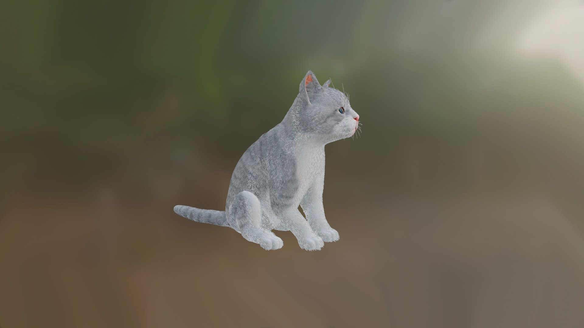 3D Kitten https://p.turbosquid.com/ts-thumb/vN/zOM1CK/xs/20220304_190902/png/1646410664/1920x1080/fit_q87/35826ce5bdb558547b080005f2688e4fcbb39bcc/20220304_190902.jpg