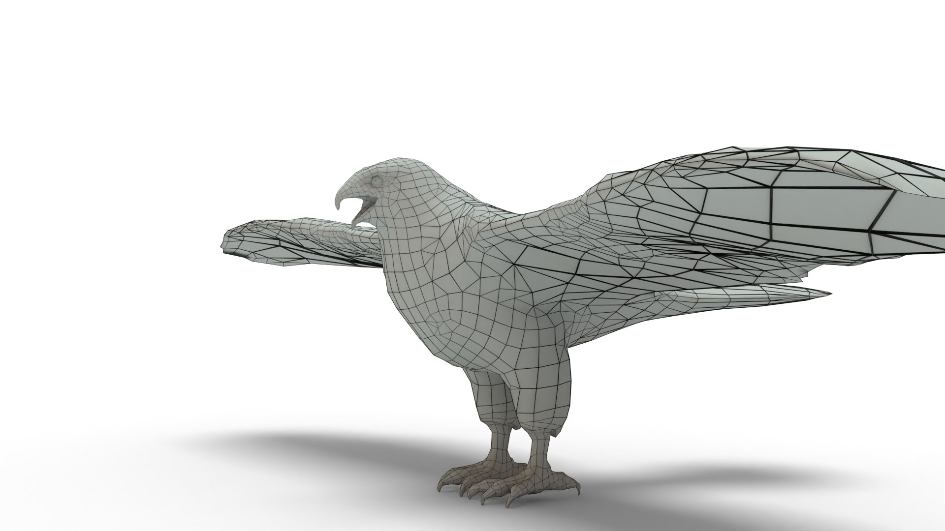 Sparrow Hawk 3D Model - TurboSquid 2296124