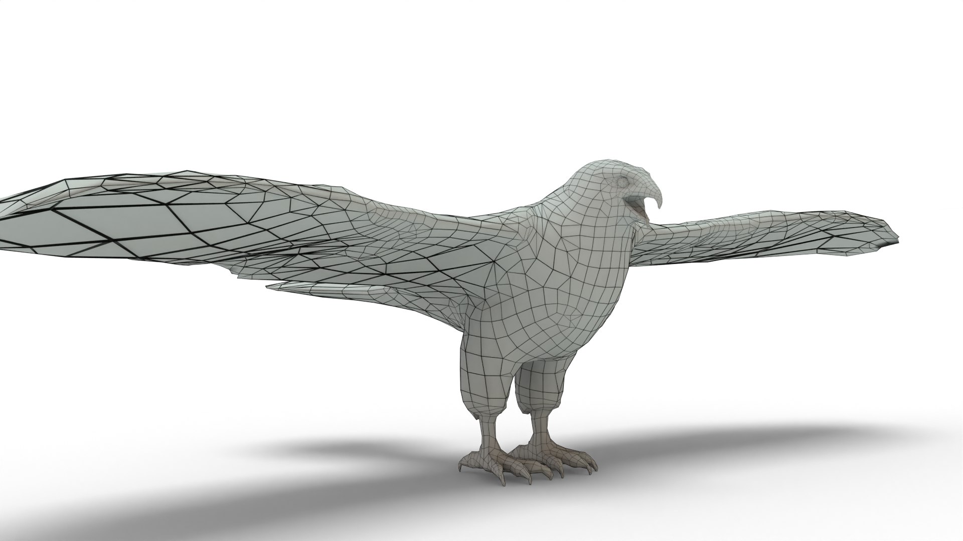 Sparrow Hawk 3D Model - TurboSquid 2296124