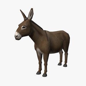 Donkey