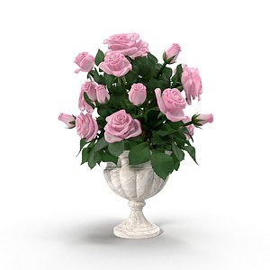 Rose(4)