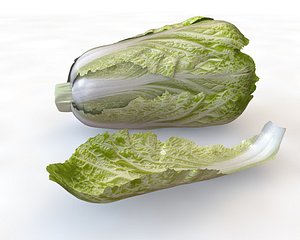Kimchi Napa Cabbage