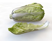 Kimchi Napa Cabbage