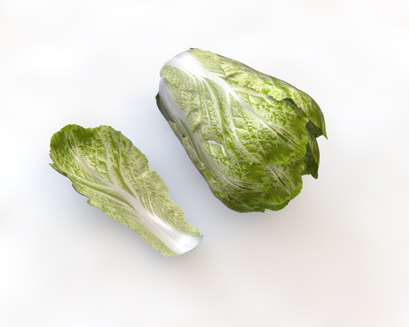 Cabbage Model - TurboSquid 1544537