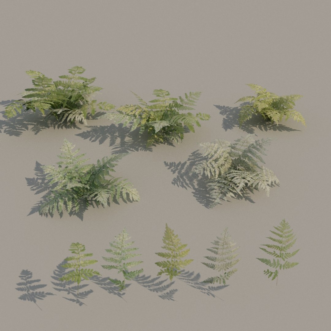 nordic forest plants 3D https://p.turbosquid.com/ts-thumb/vO/eCE4mH/9BROVa63/nature_ferns/jpg/1509318513/1920x1080/fit_q87/f6cac9fed2d5c656eb27bac1a8c3c747d259ceb0/nature_ferns.jpg