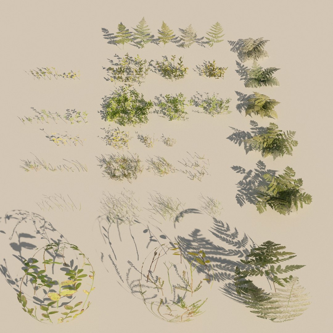 nordic forest plants 3D https://p.turbosquid.com/ts-thumb/vO/eCE4mH/HFxU5EGL/render_001/jpg/1509318514/1920x1080/fit_q87/daca7743021433eeb48f54b15fa9b8c75841aeb2/render_001.jpg