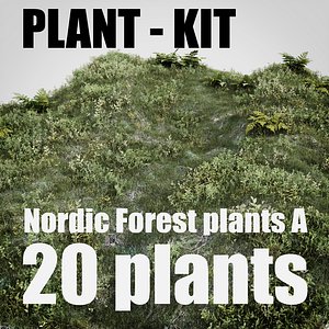nordic forest plants 3D