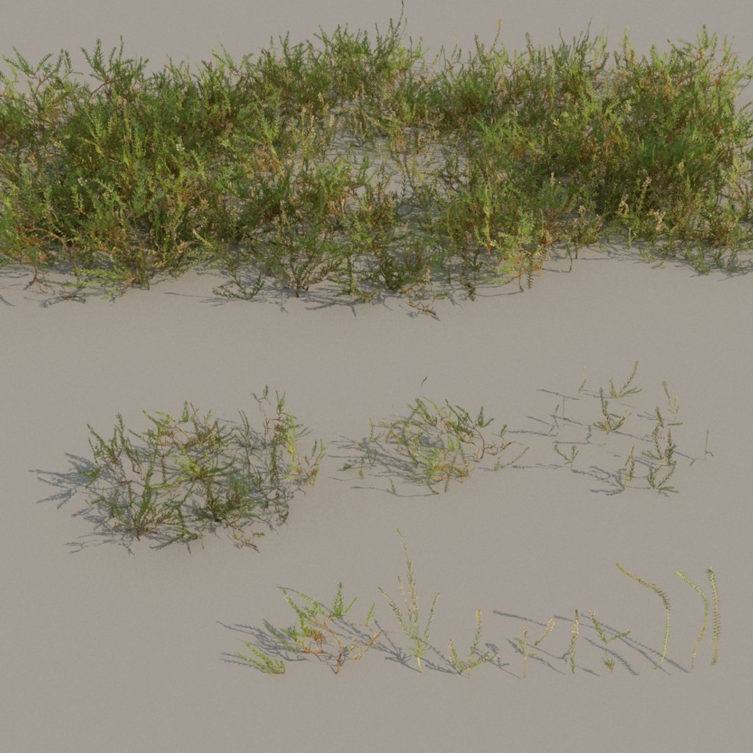 nordic forest plants 3D https://p.turbosquid.com/ts-thumb/vO/eCE4mH/g1InAfzH/nature_groundplant_d/jpg/1509318513/1920x1080/fit_q87/f2d7d4cda795b89ba3ee0bb3acd5dcd84501c833/nature_groundplant_d.jpg