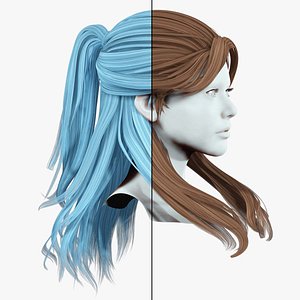 Half up Ponytail Hair