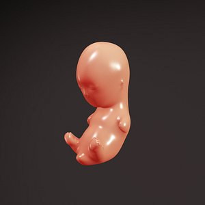 3d fetus