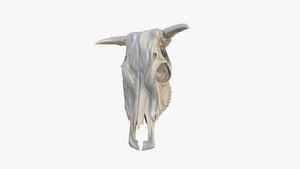 Cow Skull