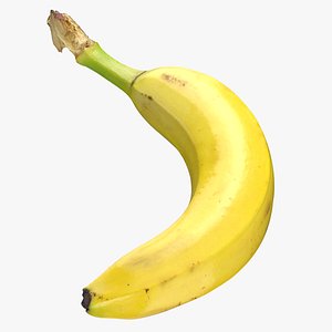banana 04 model
