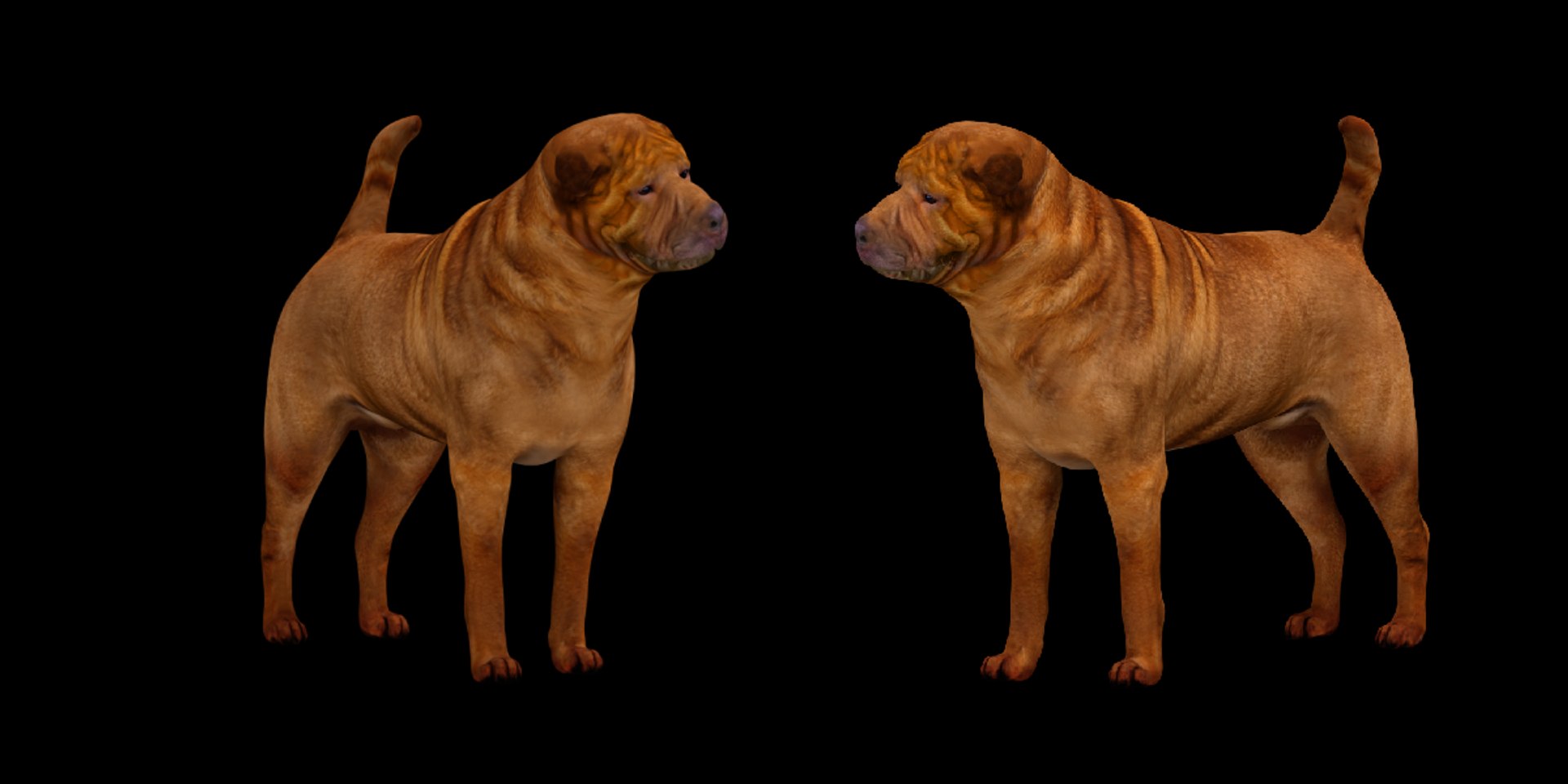 3D model Shar Pei Dog https://p.turbosquid.com/ts-thumb/vP/18G7kr/D6/sharpei_dog3/png/1727827874/1920x1080/fit_q87/35dd112f12907117b8a5d957ac1dbc802927453a/sharpei_dog3.jpg