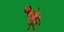 Shar Pei Hund