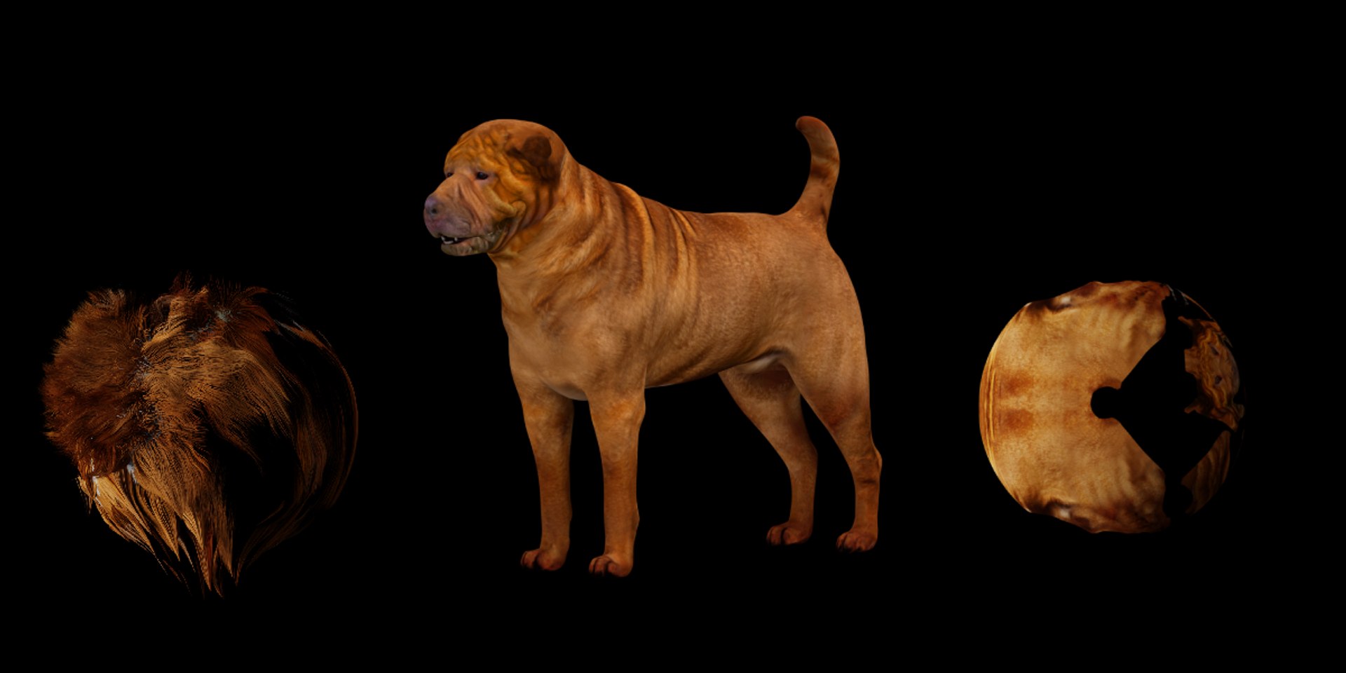 3D model Shar Pei Dog https://p.turbosquid.com/ts-thumb/vP/18G7kr/eI/sharpei_dog4/png/1727827876/1920x1080/fit_q87/5a80e1cf18f00b1b278146e3ae216bab71841407/sharpei_dog4.jpg