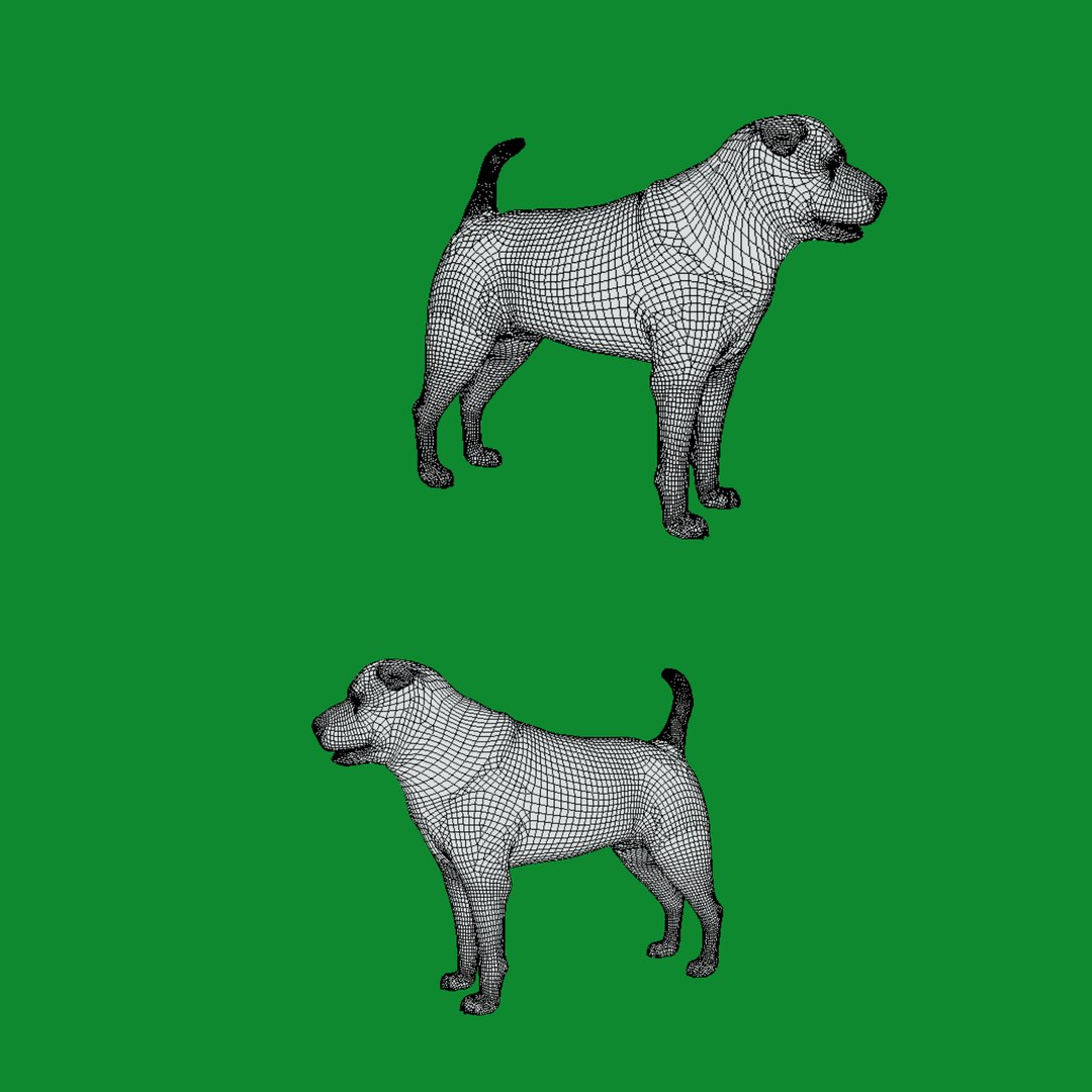 3D model Shar Pei Dog https://p.turbosquid.com/ts-thumb/vP/18G7kr/m4/wire/png/1727827814/1920x1080/fit_q87/4eadc29eb9f454c3fe0a429fbed4bf3fc93fbcea/wire.jpg