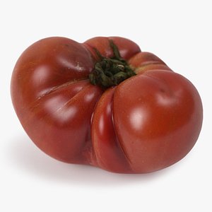 realistic tomato 02 model