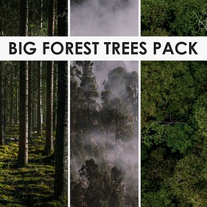 Trees Pack Exclusive Big Forest model
