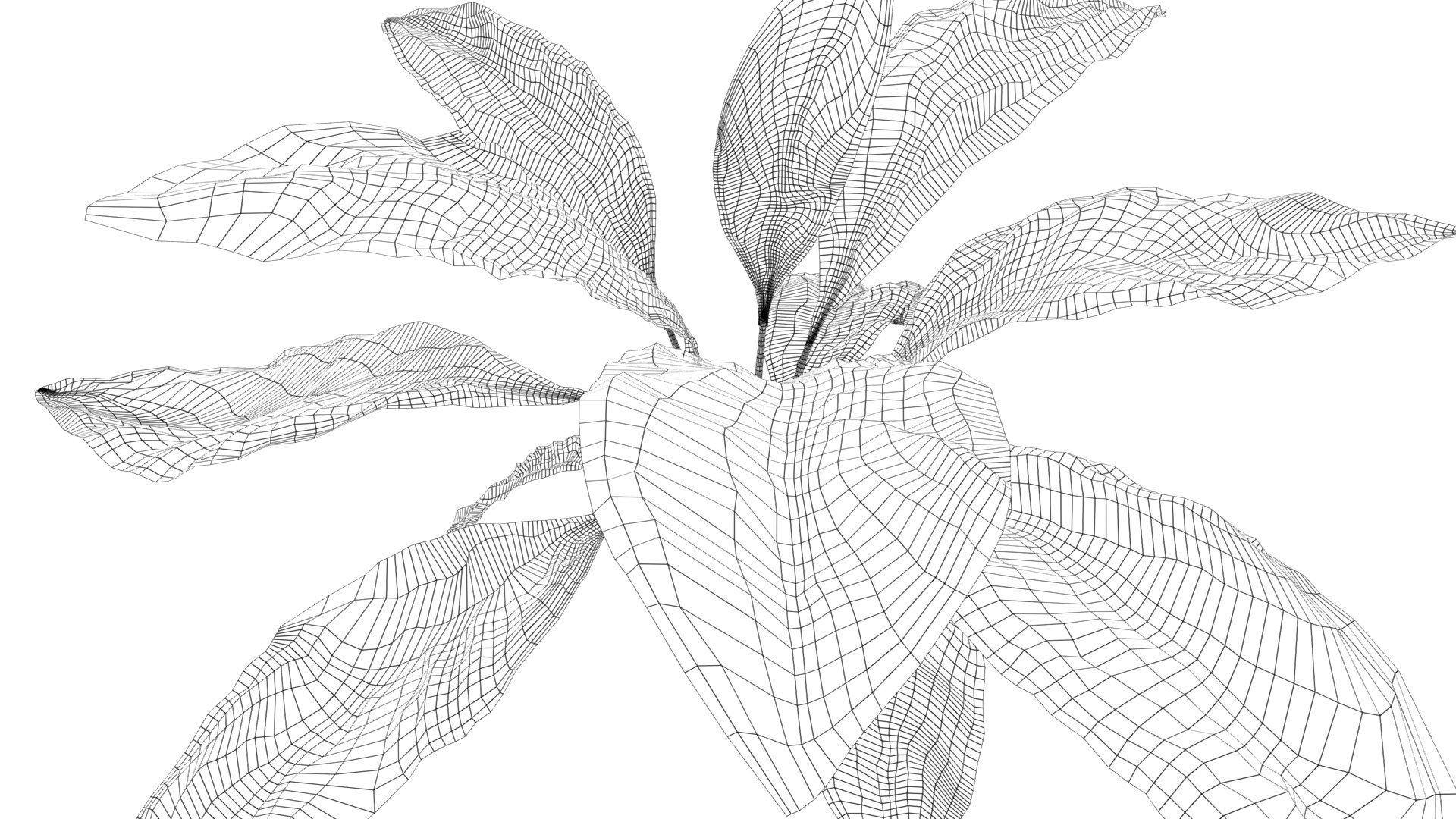 Trees Pack Exclusive Big Forest Model - TurboSquid 2383738