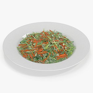 Vegetable Salad on White Plate model