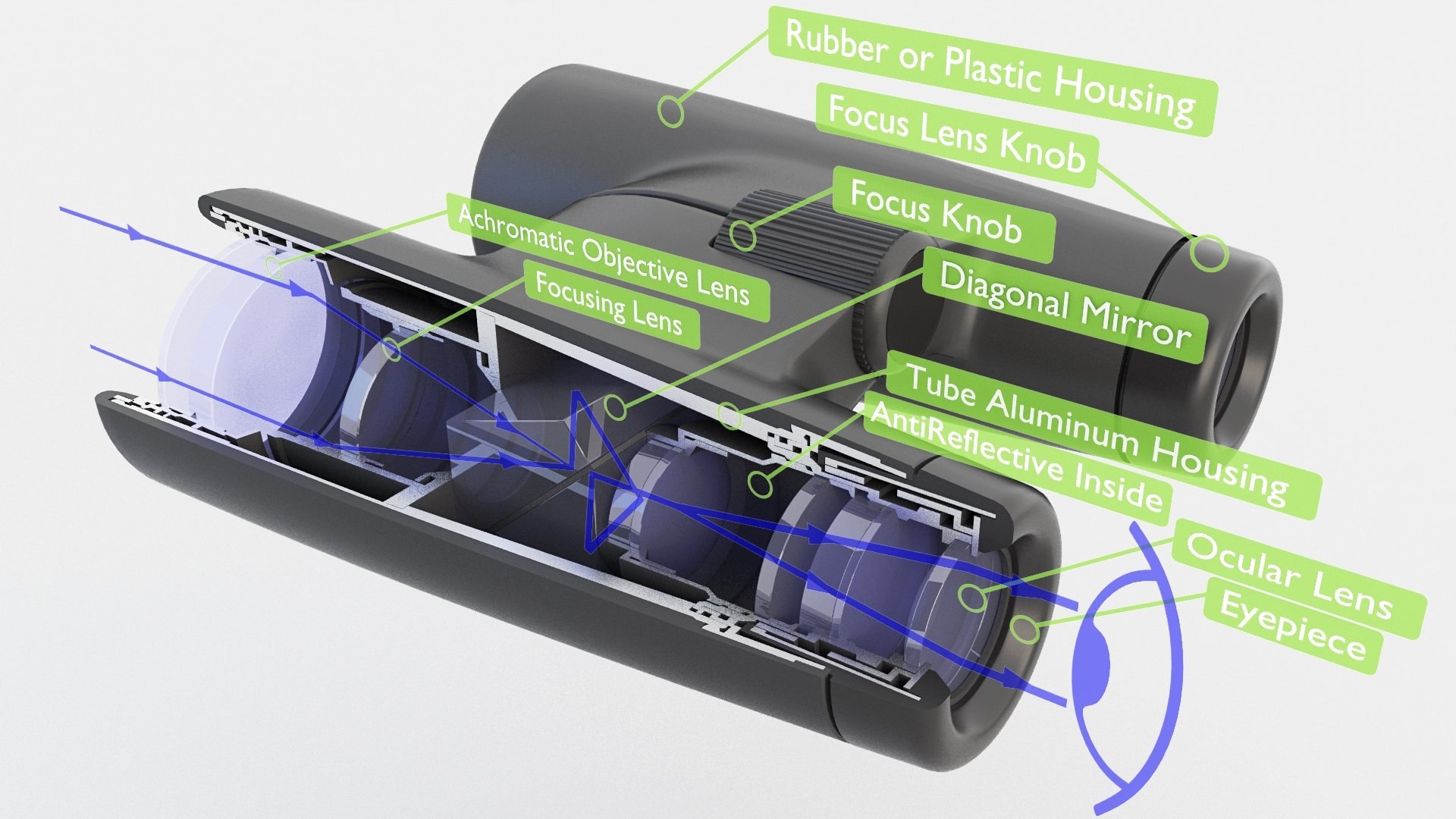 Binoculars Cross Section v2 3D model https://p.turbosquid.com/ts-thumb/vP/hWmuRd/hq/3d_binoculars_1_inside_roof_prims_1/jpg/1754135155/1920x1080/fit_q87/ea59c42518d25976c97331ff81d605cf05c833a1/3d_binoculars_1_inside_roof_prims_1.jpg