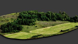 3D trees terrain forest fields landscape dronescan part3