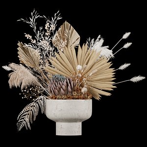 flower floweringplants plants model