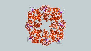 Protein Machine - Calcium Sensor
