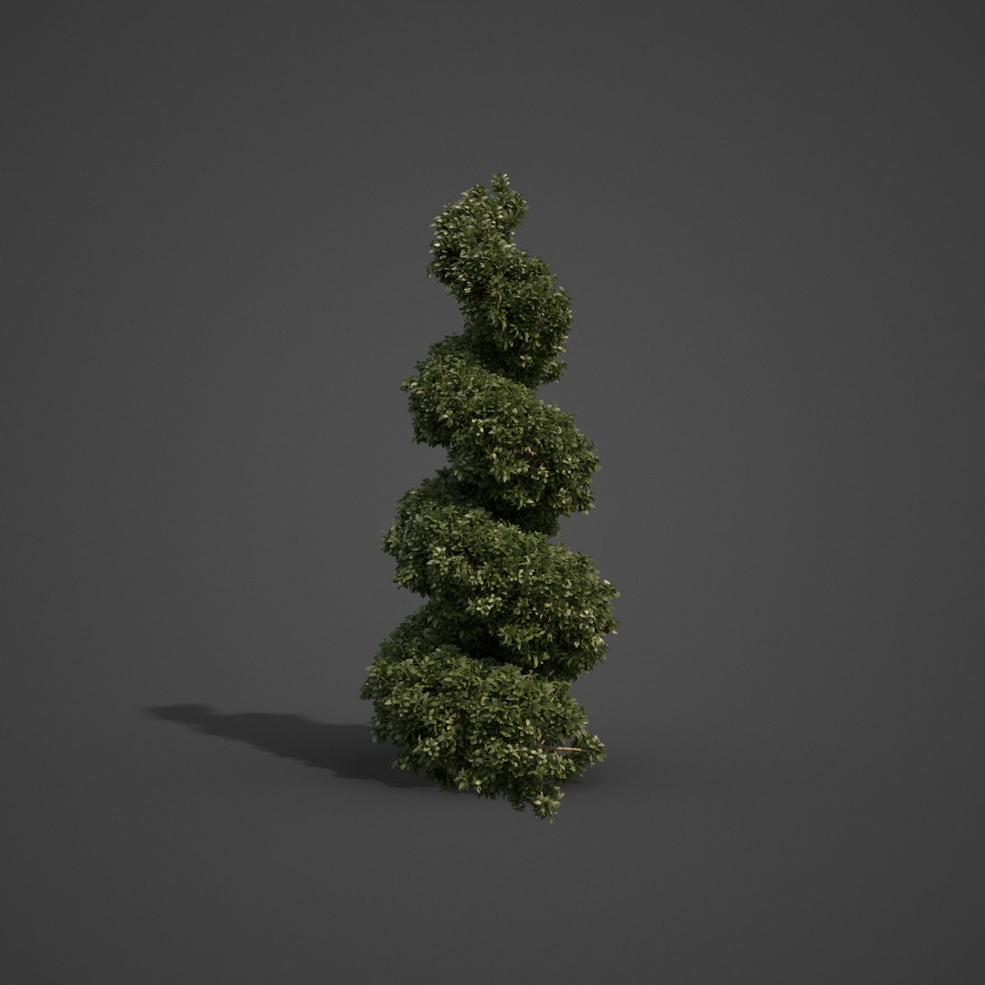plants common boxwood - 3D model https://p.turbosquid.com/ts-thumb/vP/saitM5/79/ls02_01/png/1613069382/1920x1080/fit_q87/822388a712d3b51ae0451b448c91afe34a122832/ls02_01.jpg