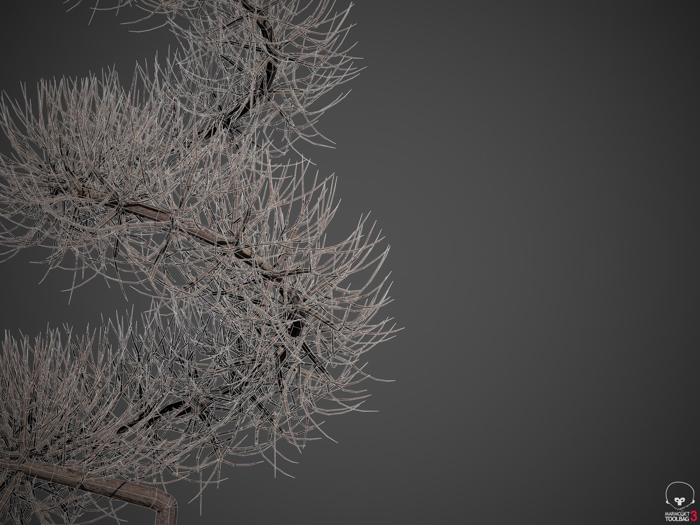 plants common boxwood - 3D model https://p.turbosquid.com/ts-thumb/vP/saitM5/7M/screenshot002/png/1610556207/1920x1080/fit_q87/d163083c07521209e39d488953ec53038d284fc6/screenshot002.jpg