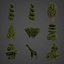 Collection de buis commun PBR 2021 - Buxus Sempervirens