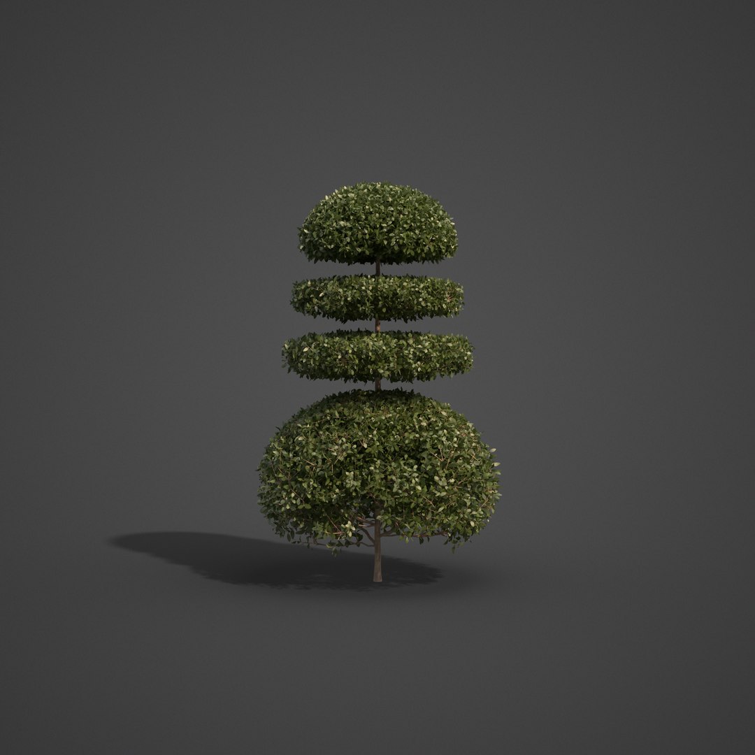 plants common boxwood - 3D model https://p.turbosquid.com/ts-thumb/vP/saitM5/cT/ls02_06/png/1613069382/1920x1080/fit_q87/f9e0bc6e2483c65664046c23c44f2678bfb38f35/ls02_06.jpg
