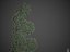 Collection de buis commun PBR 2021 - Buxus Sempervirens