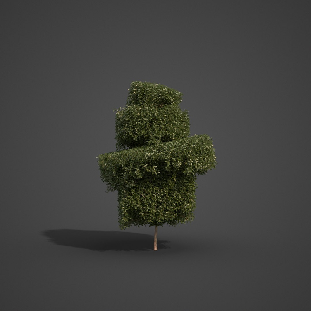 plants common boxwood - 3D model https://p.turbosquid.com/ts-thumb/vP/saitM5/wK/ls02_07/png/1613069382/1920x1080/fit_q87/656804c9728226c2ae6338fd0b7cef3186cbbbad/ls02_07.jpg