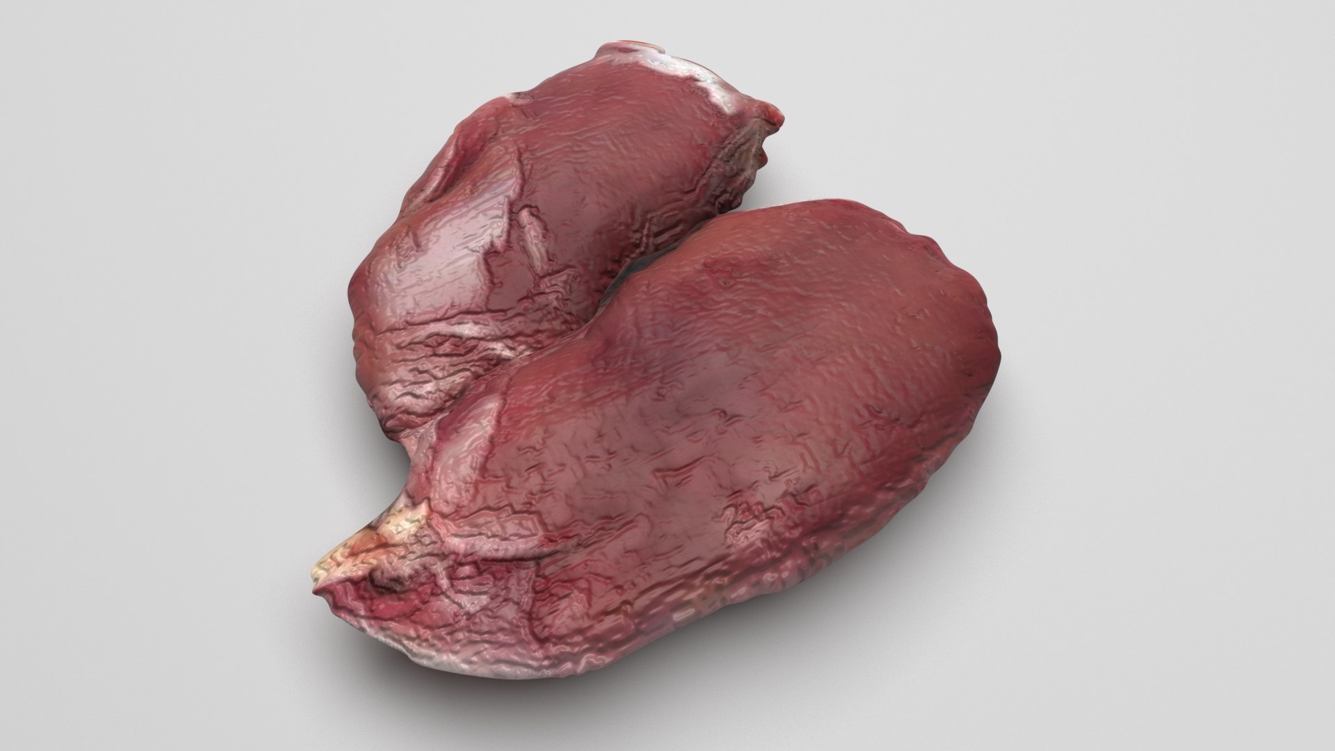 3D Chicken Liver model https://p.turbosquid.com/ts-thumb/vP/t6wzrf/Dc/chickenliver4/jpg/1719776041/1920x1080/fit_q87/31e7bdf516841cd4e2e22d02a3786ae180862ee1/chickenliver4.jpg