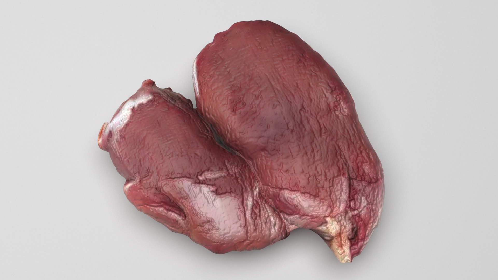 3D Chicken Liver model https://p.turbosquid.com/ts-thumb/vP/t6wzrf/EE/chickenliver3/jpg/1719776042/1920x1080/fit_q87/b92101309c356c87bde2381bf0bd8fb1e3a05451/chickenliver3.jpg