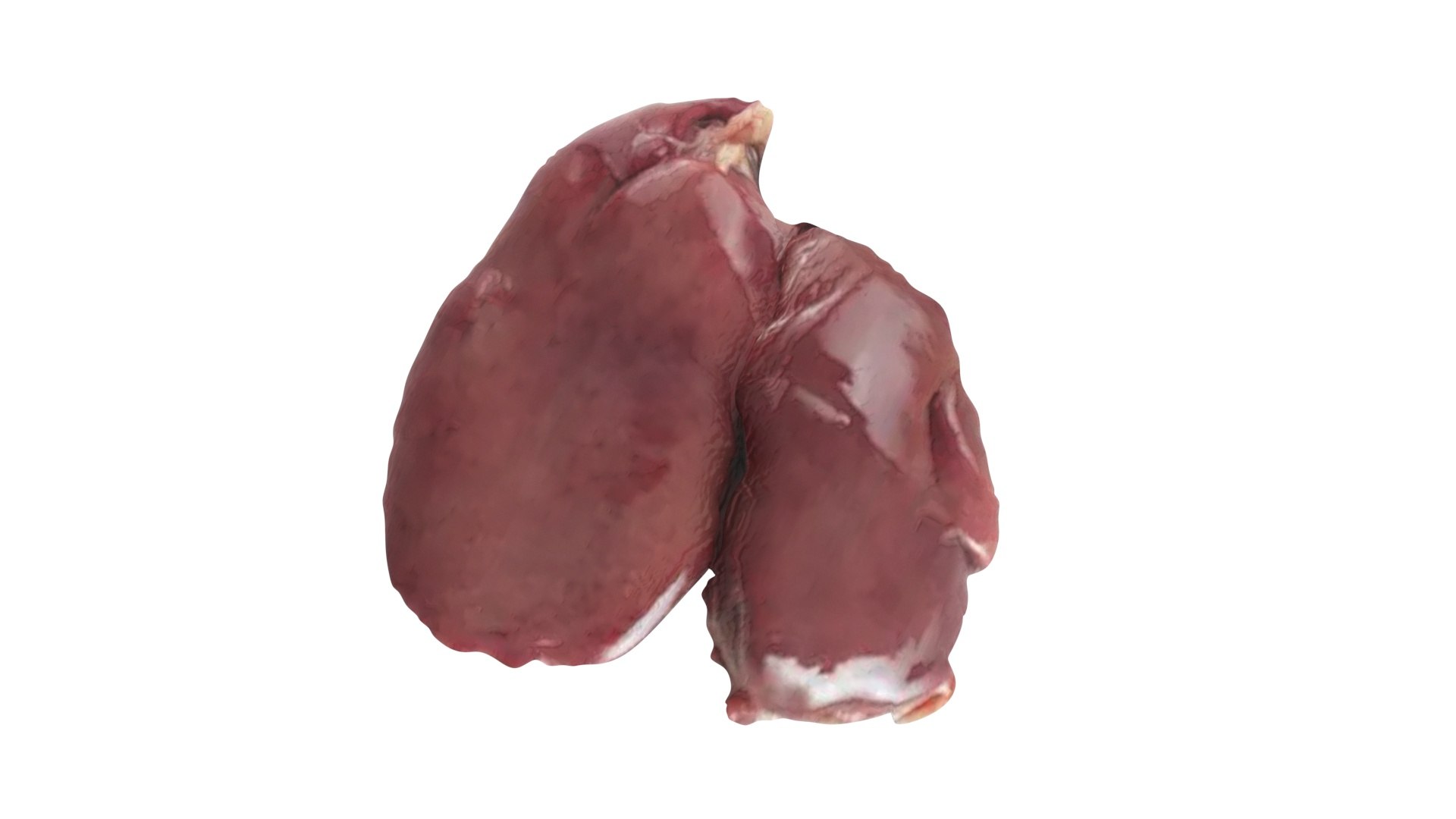 3D Chicken Liver model https://p.turbosquid.com/ts-thumb/vP/t6wzrf/Uu/chickenliver9/jpg/1719776039/1920x1080/fit_q87/d86f61c8641ba11962cd5b38a88e0f75abd6c07d/chickenliver9.jpg