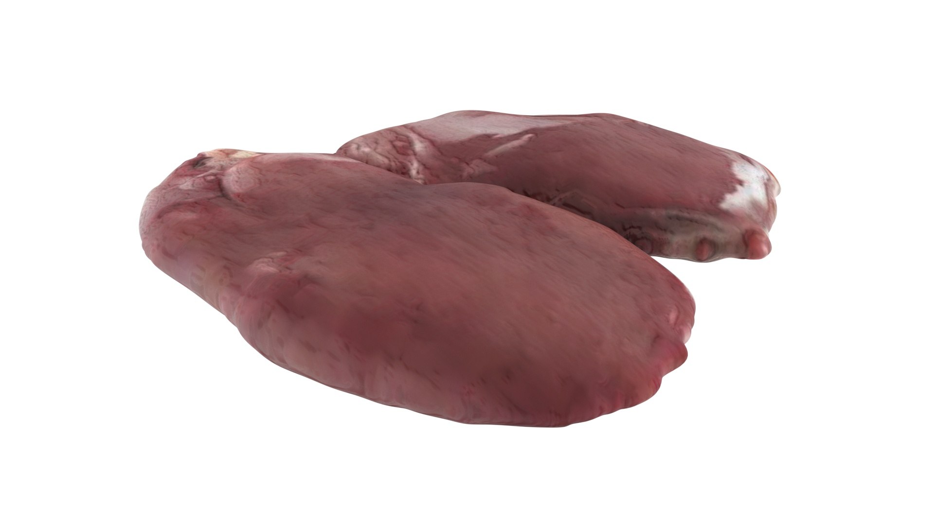 3D Chicken Liver model https://p.turbosquid.com/ts-thumb/vP/t6wzrf/VS/chickenliver8/jpg/1719776039/1920x1080/fit_q87/fb5eb06b1dd96c2c64c0f6ac932e081a5d359060/chickenliver8.jpg