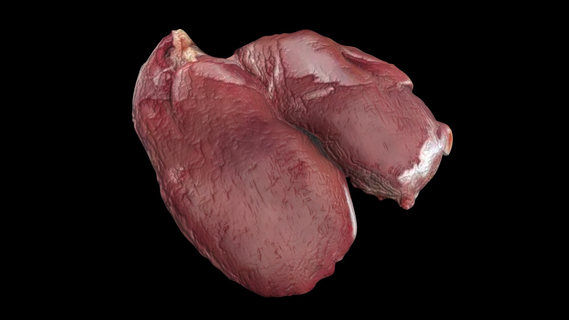 3D Chicken Liver model https://p.turbosquid.com/ts-thumb/vP/t6wzrf/cB/chickenliver7/jpg/1719776040/1920x1080/fit_q87/454332331bcbc0825d9fe823ecc31138461dcafc/chickenliver7.jpg