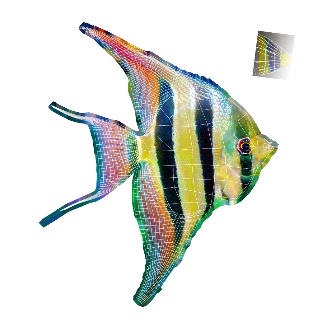 fresh animations max https://p.turbosquid.com/ts-thumb/vP/z8G7l4/g9/angel_fishuv1/jpg/1782671100/1920x1080/fit_q87/f9e7fbed87155d63c3594cc3fe1442ad6a6b1b43/angel_fishuv1.jpg