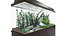 Aquarium Animé