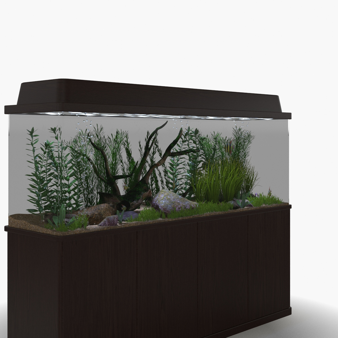 fresh animations max https://p.turbosquid.com/ts-thumb/vP/z8G7l4/sSS3opzf/t1/jpg/1461757526/1920x1080/turn_fit_q99/e6154a42a818e24c38c2461778d14637324c6a6b/t1-1.jpg
