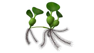 3d model plant water lakes