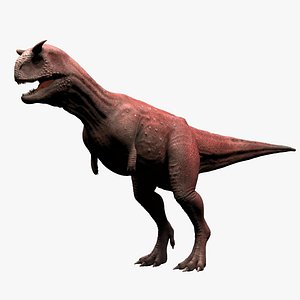 Carnotaurus Sastrei Dinosaur