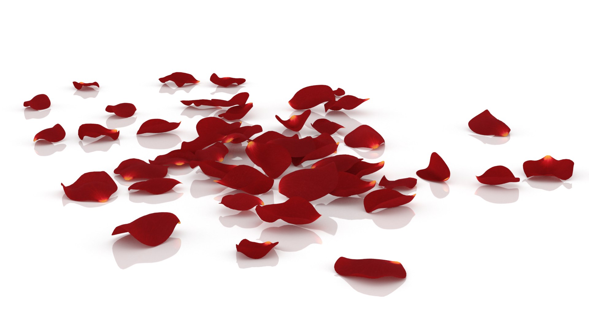 3D flower rose petal red https://p.turbosquid.com/ts-thumb/vQ/DWNJxd/5T/1/png/1655218545/1920x1080/fit_q87/8e4a4eee0420dc376a8ea236e8c910aaff0590c4/1.jpg