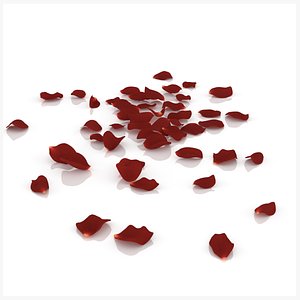 Red rose petals
