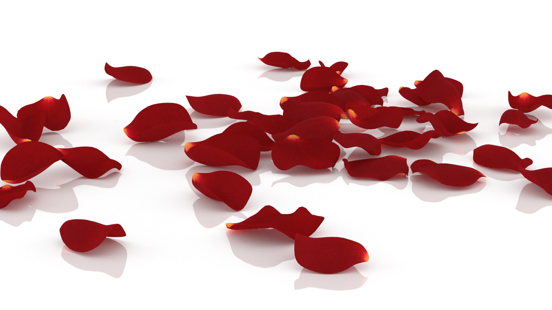 3D flower rose petal red https://p.turbosquid.com/ts-thumb/vQ/DWNJxd/oA/2/png/1655218999/1920x1080/fit_q87/ea18cd5f97512712d574a46329071630b2ab6f34/2.jpg
